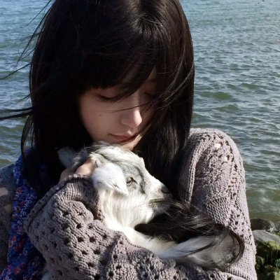 史比瑞：奔向自由：马术学院第一季